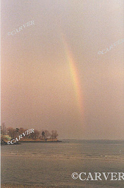 51047_danebow2.jpg