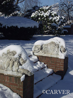 King's Hibernation
The lion statues in the Rose Garden at Lynch Park in Beverly, MA 
rest comfortably under a fresh blanket of snow.
Keywords: Rose Garden; Beverly; winter; snow; ice; lion statues; ocean; photograph; picture; print