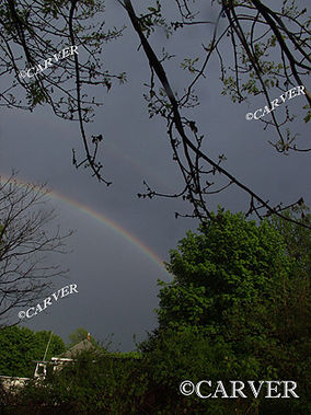 Part of a Double
A double rainbow seen through trees in Topsfield, MA
Keywords: Rainbow; photograph; picture