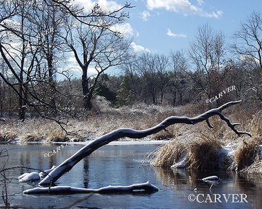 Stilled Reach
A branch reaches upwards from a frozen Ipswich River in Topsfield, MA near Bradley Palmer State Park.
Keywords: Winter; Ipswich river; photograph; picture