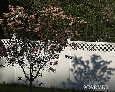 From a front yard off of Asbury St. in Hamilton, MA. The contrasts of the light and the shapes here were the appeal to the lens.
Keywords: photograph; picture; print