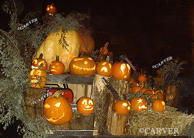 Seasonal Lights
Jack O' Lanterns seen in the Salem Halloween parade.
Keywords: salem; halloween; pumpkin; parade; photograph; picture; print