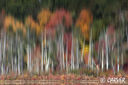 Filename=WaterColors_7238.jpg
Filesize=95KiB
Dimensions=633x422
Date added=Dec 03, 2008 WaterColors_7238.jpg